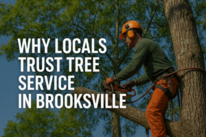 Why Locals Trust Tree Service in Brooksville